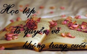 Danh ngôn học tập